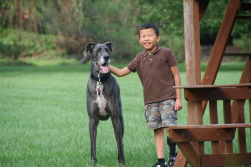 Image of our Fazzino contest winners, a boy and his great dane