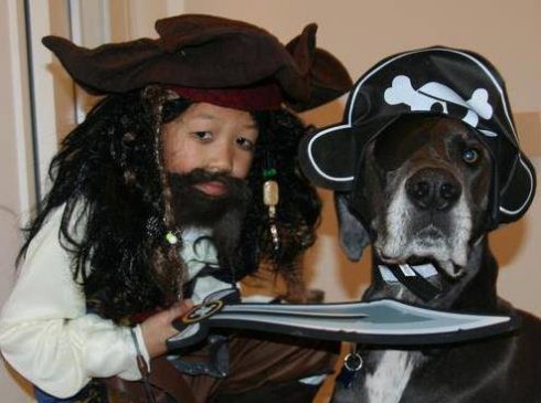 Boy and his great dane dog dressed up like pirates for Halloween