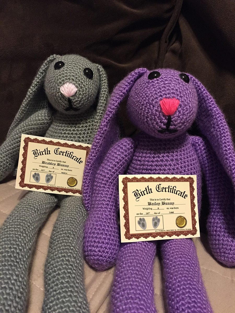 Grey and purple bunny rabbits sitting next to each other holding paper birth certificates 