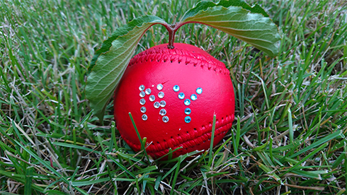 A baseball painted red with a stem to look like an apple and NY in crystals on it sits in the grass