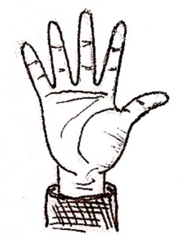 palm hand drawing