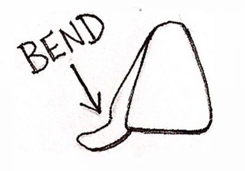 A drawing showing how to draw a thumb and the bend in it with palms down
